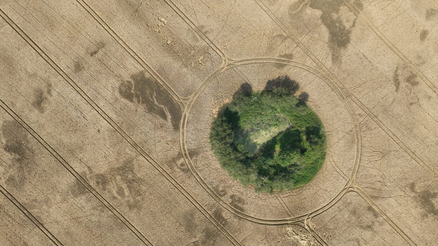 Fotografia rolnicza Pole uszkodzenia Szkoda łowiecka atmosferyczna fotografia z drona