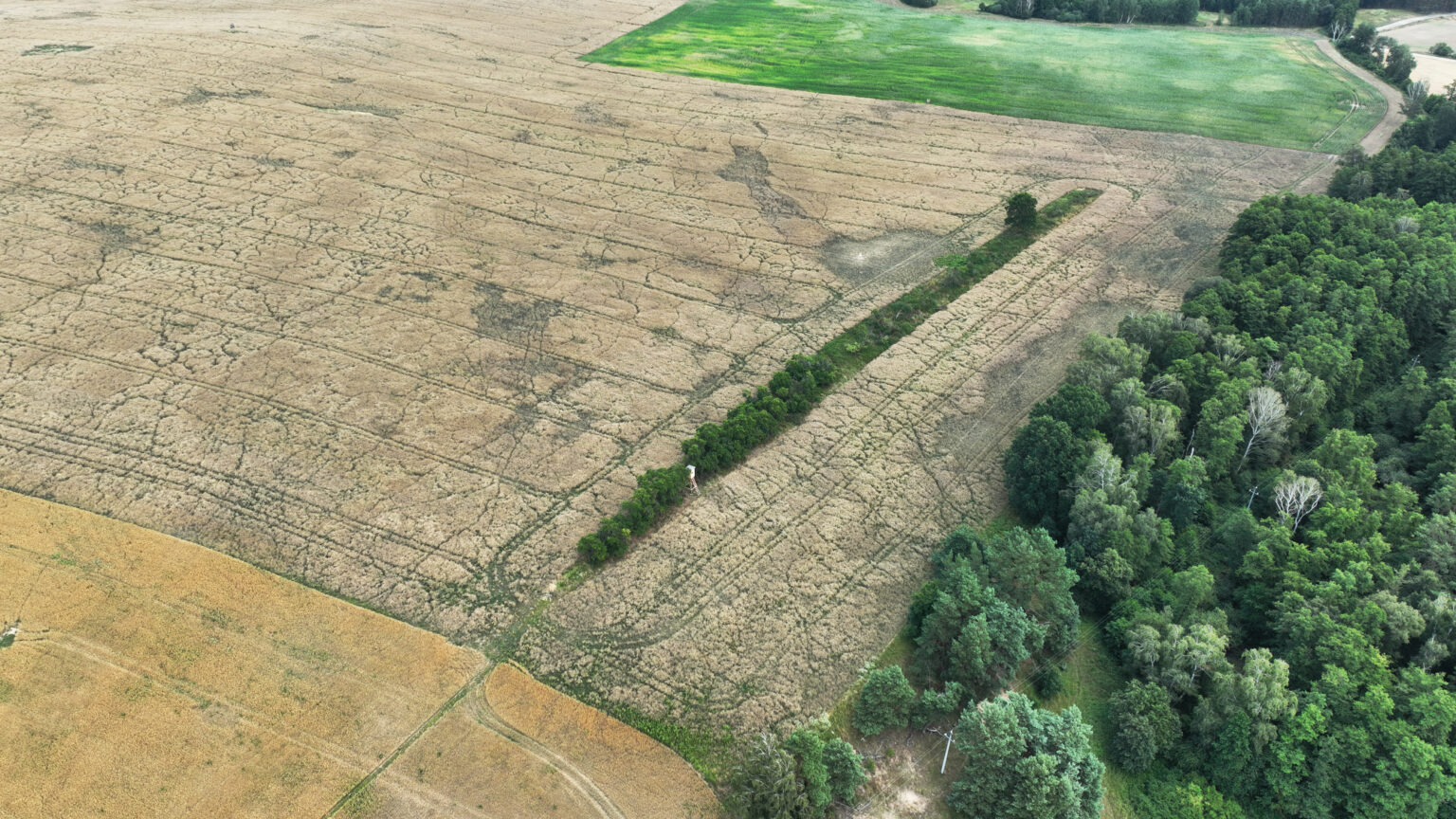 Szkody Łowieckie na polu Rolnictwo Pole uszkodzenia Szkoda łowiecka atmosferyczna zdjęcie z drona