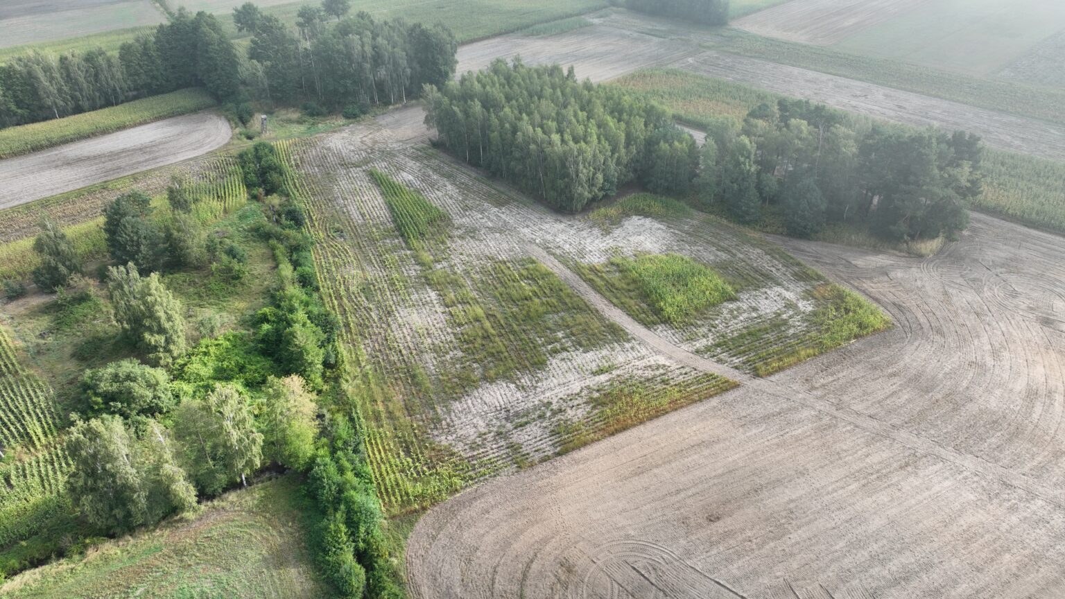 Uszkodzone pole zdjęcie z drona